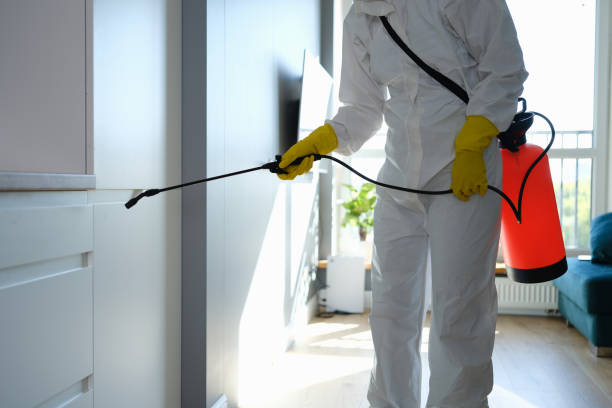 Best Residential Mold Remediation in Yamhill, OR