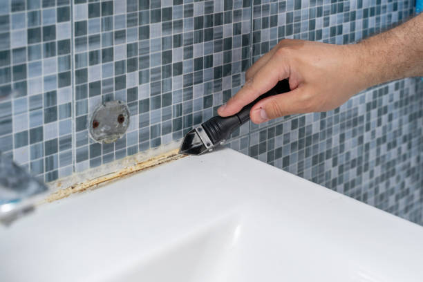 Best Preventive Mold Services in Yamhill, OR