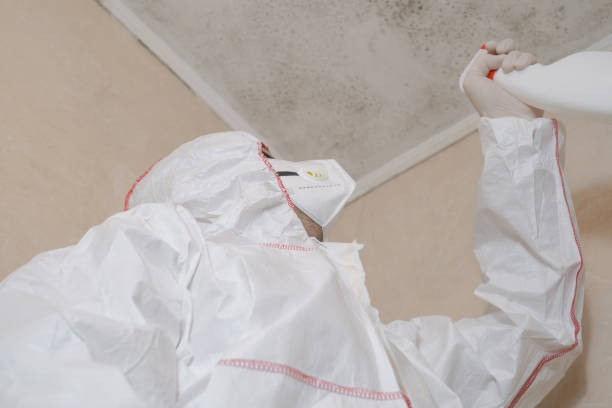 Best Localized Mold Remediation (e.g., coastal areas, humid climates) in Yamhill, OR